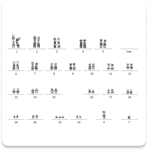 estudios-citogenetica-1